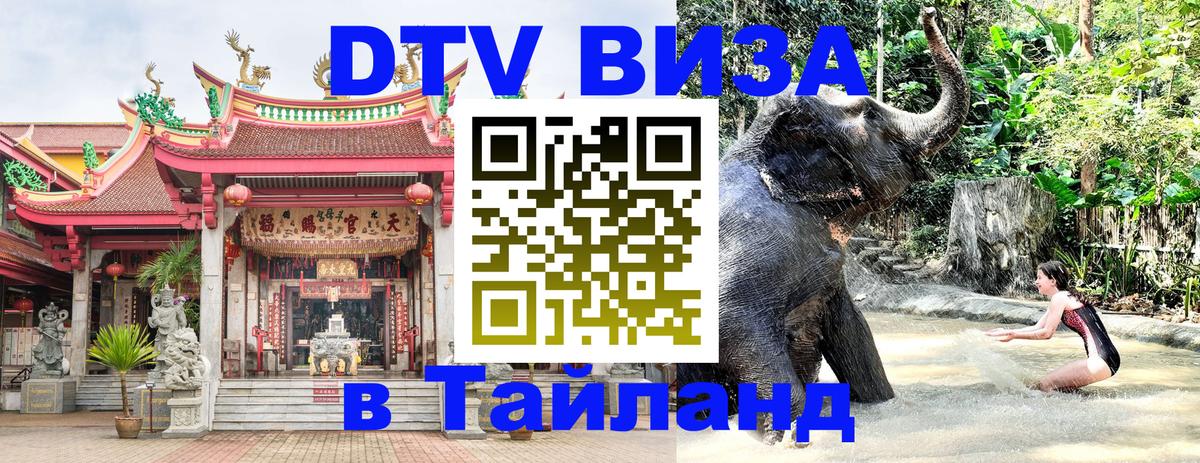 Оформление DTV визы под ключ: стоимость и тарифы, только загранпаспорт - 03.10.2025 